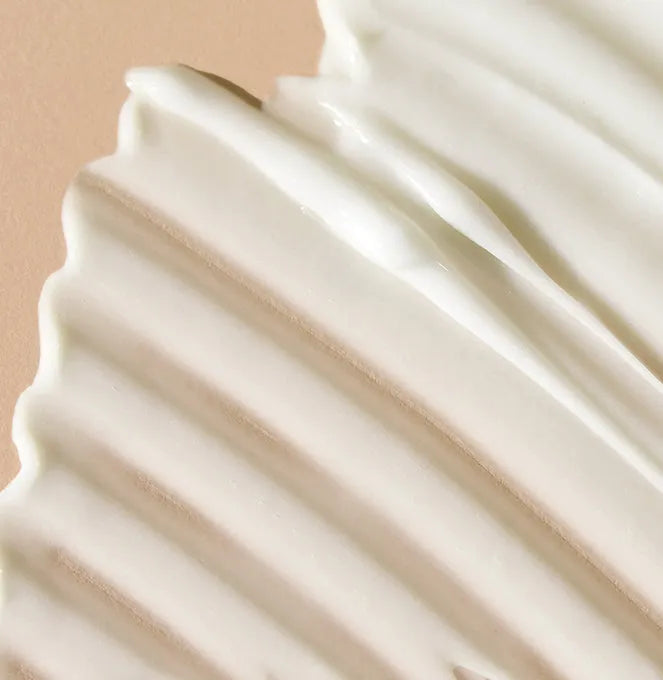 Santal Bloom - Body Lotion Secondary image