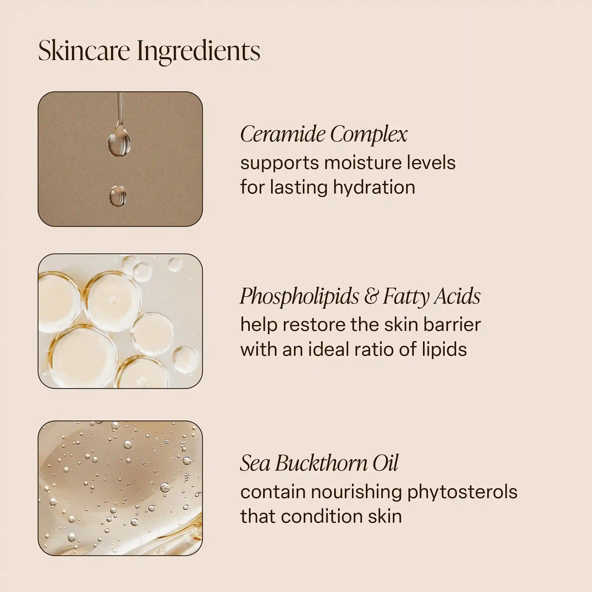 Santal Bloom - Body Butter