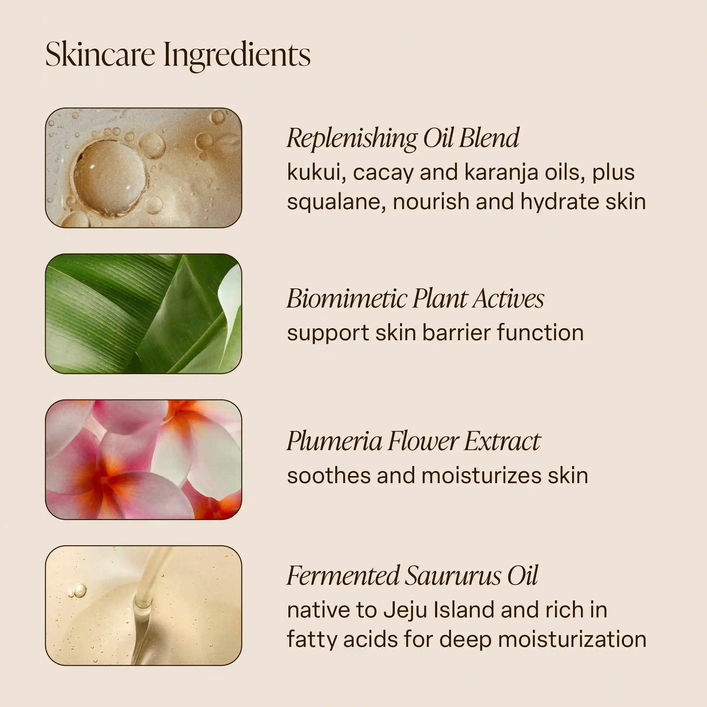 saltairbodystore.com