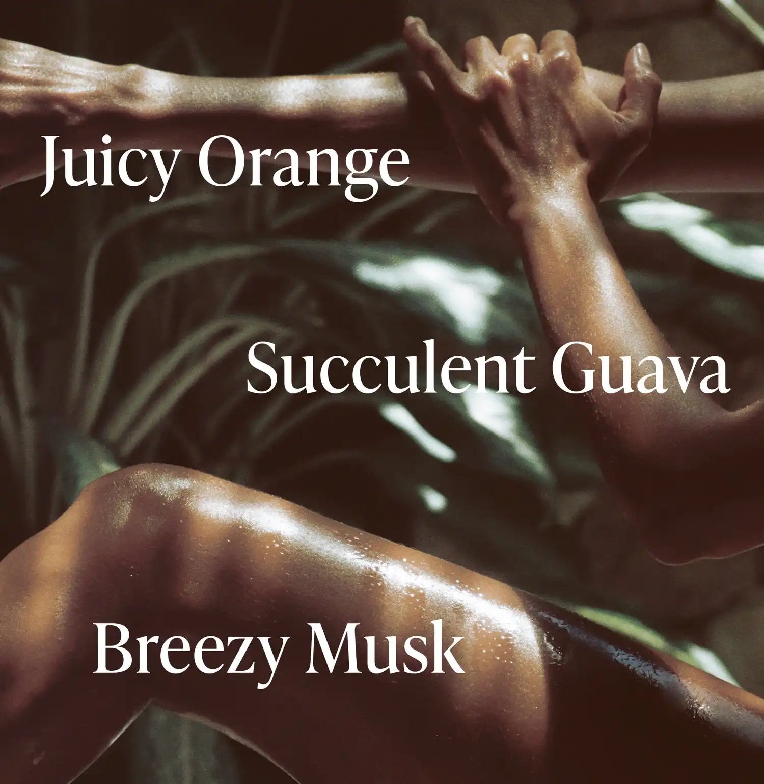 Exotic Pulp - Body Duo Secondary image