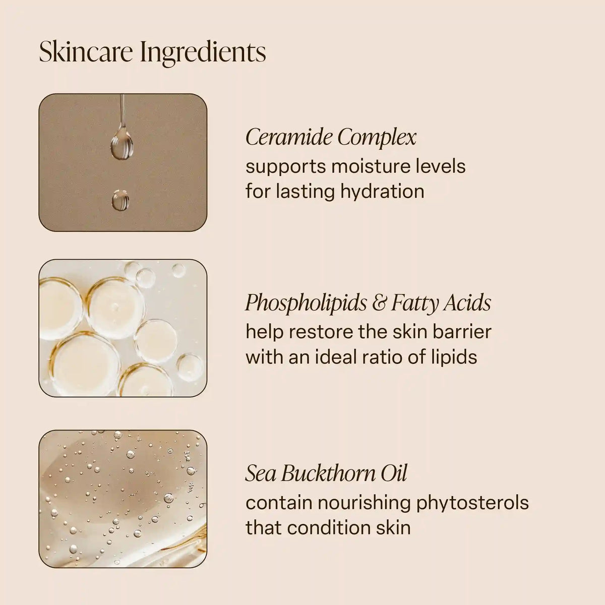 Salt Water Vanilla - Body Butter