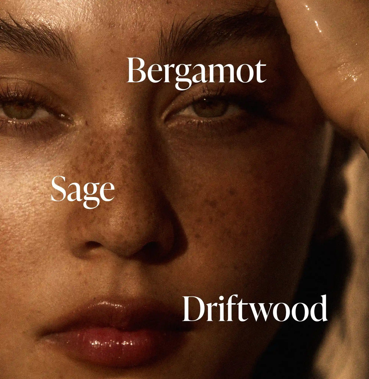 Driftwood - Trio